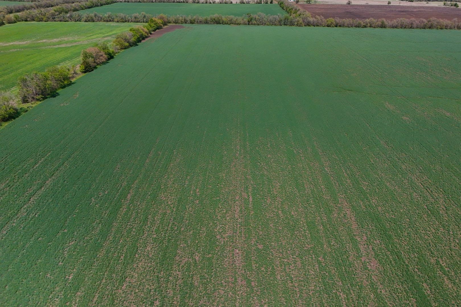 43.56+/- Acres SW Tawakoni Rd, Andover, Kansas image 4