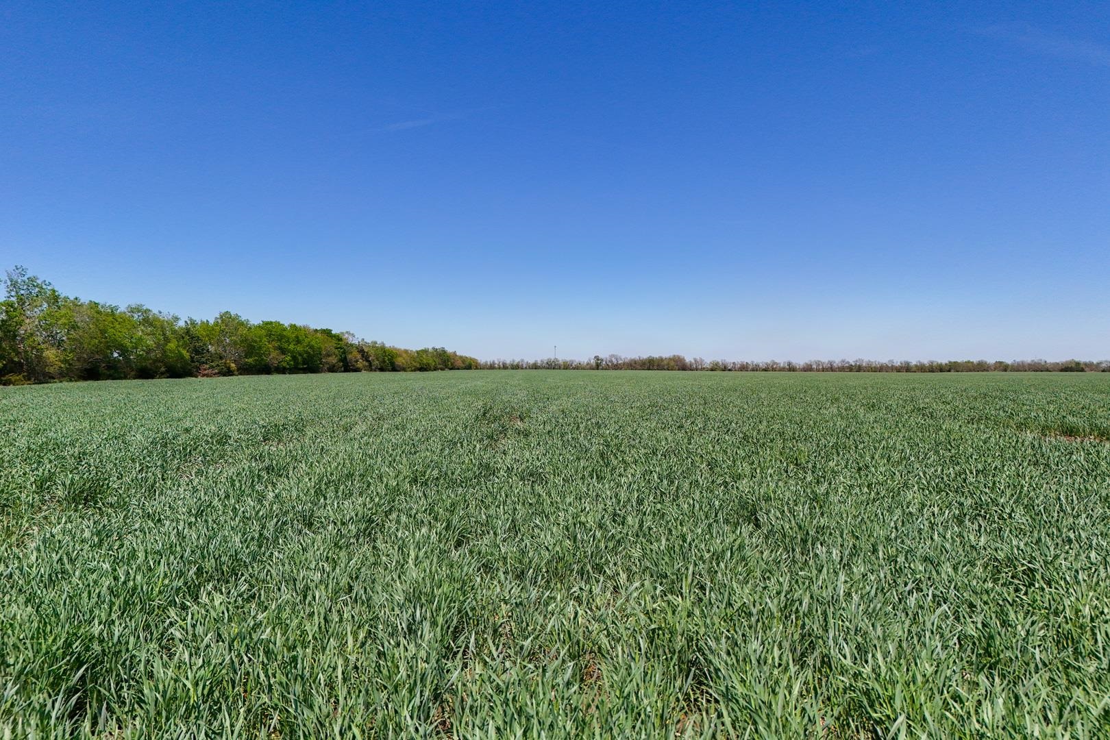 43.56+/- Acres SW Tawakoni Rd, Andover, Kansas image 20
