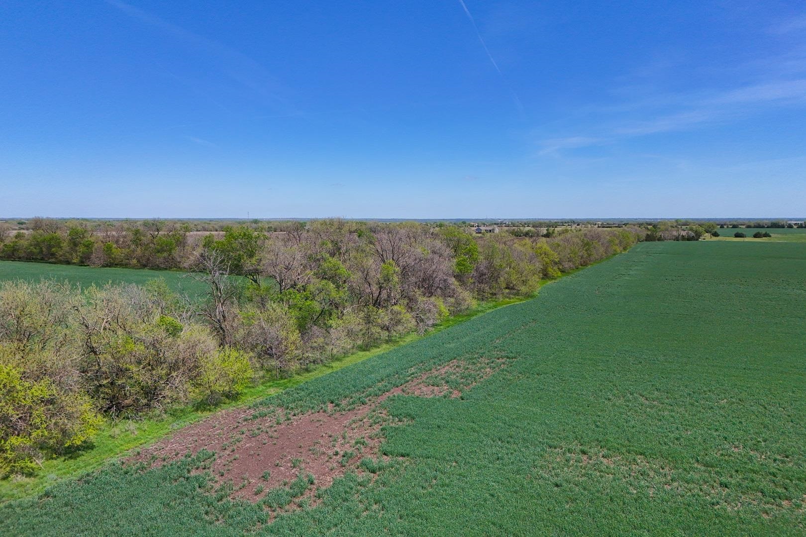 43.56+/- Acres SW Tawakoni Rd, Andover, Kansas image 14
