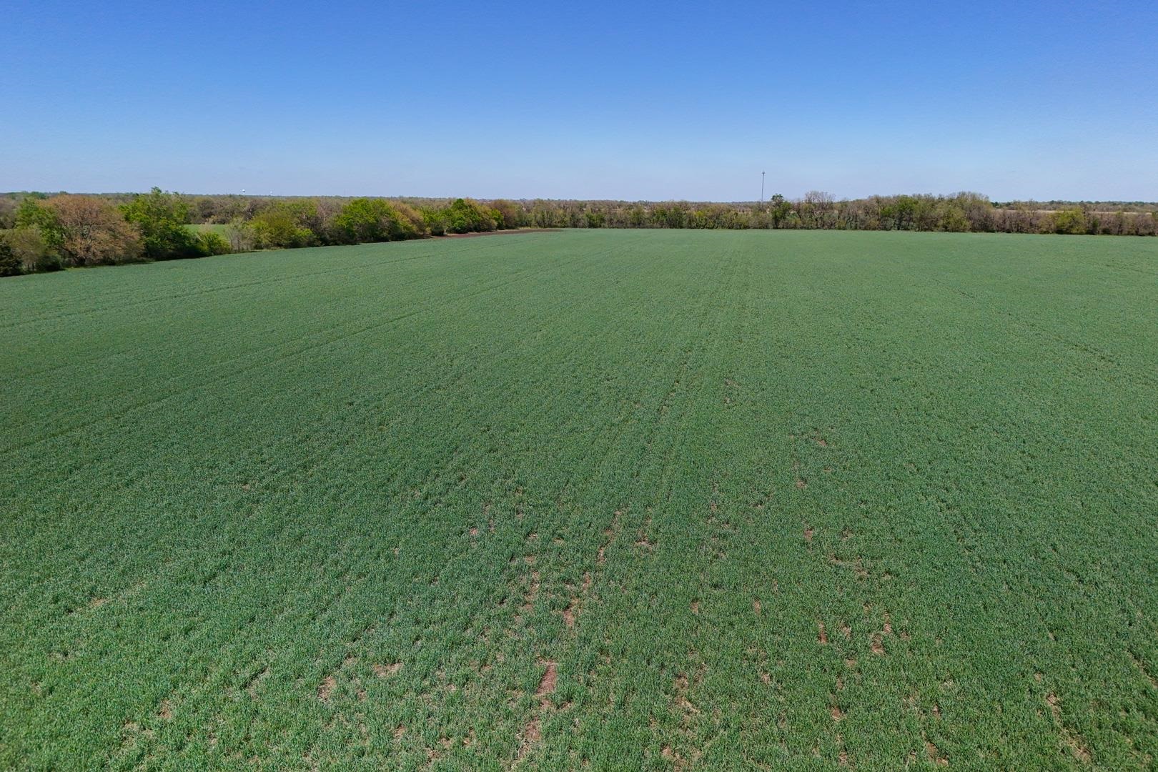 43.56+/- Acres SW Tawakoni Rd, Andover, Kansas image 9