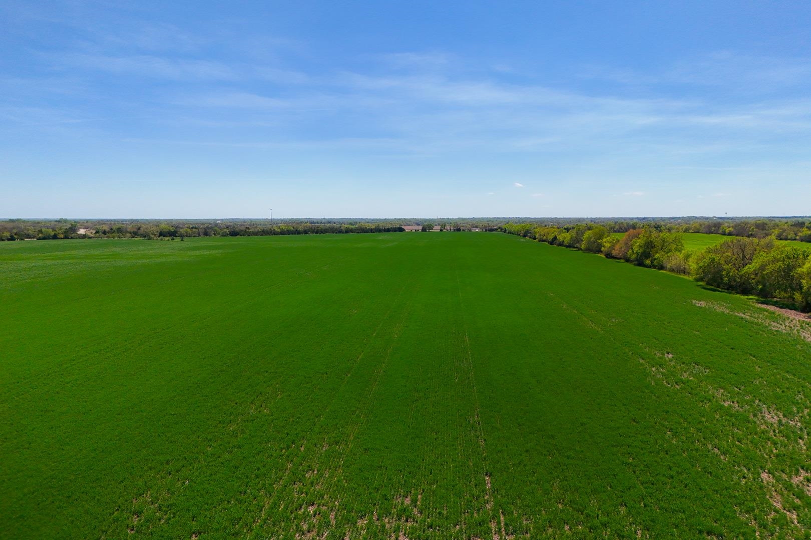 43.56+/- Acres SW Tawakoni Rd, Andover, Kansas image 15