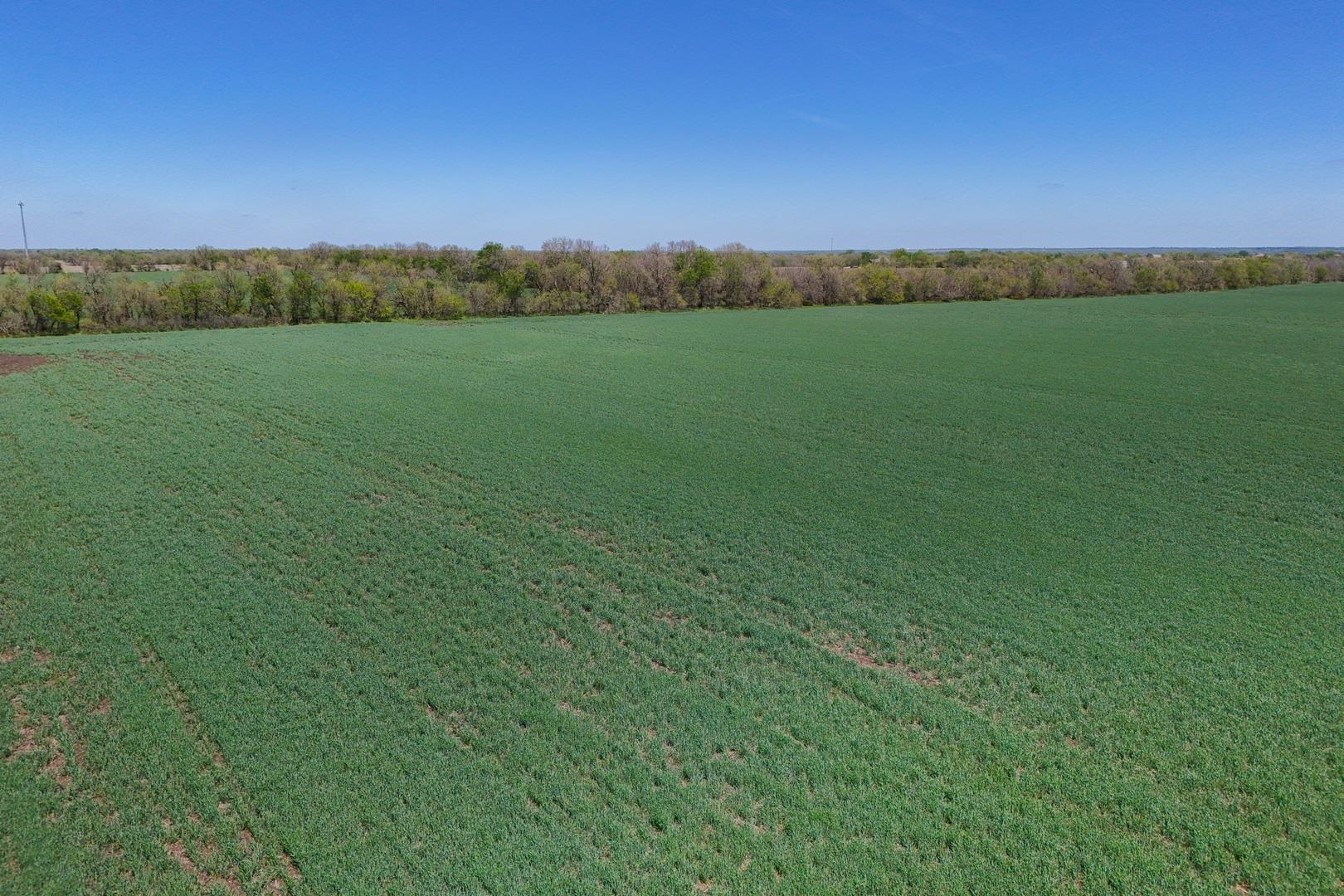 43.56+/- Acres SW Tawakoni Rd, Andover, Kansas image 13