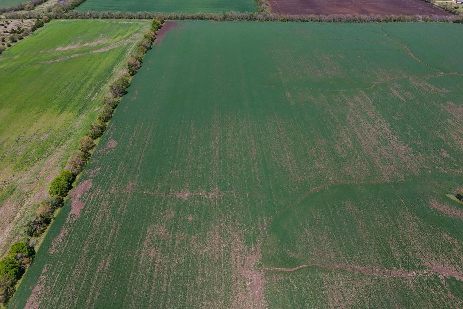 43.56+/- Acres SW Tawakoni Rd, Andover, Kansas image 3