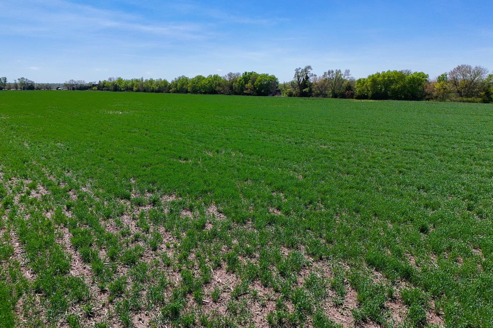 43.56+/- Acres SW Tawakoni Rd, Andover, Kansas image 7