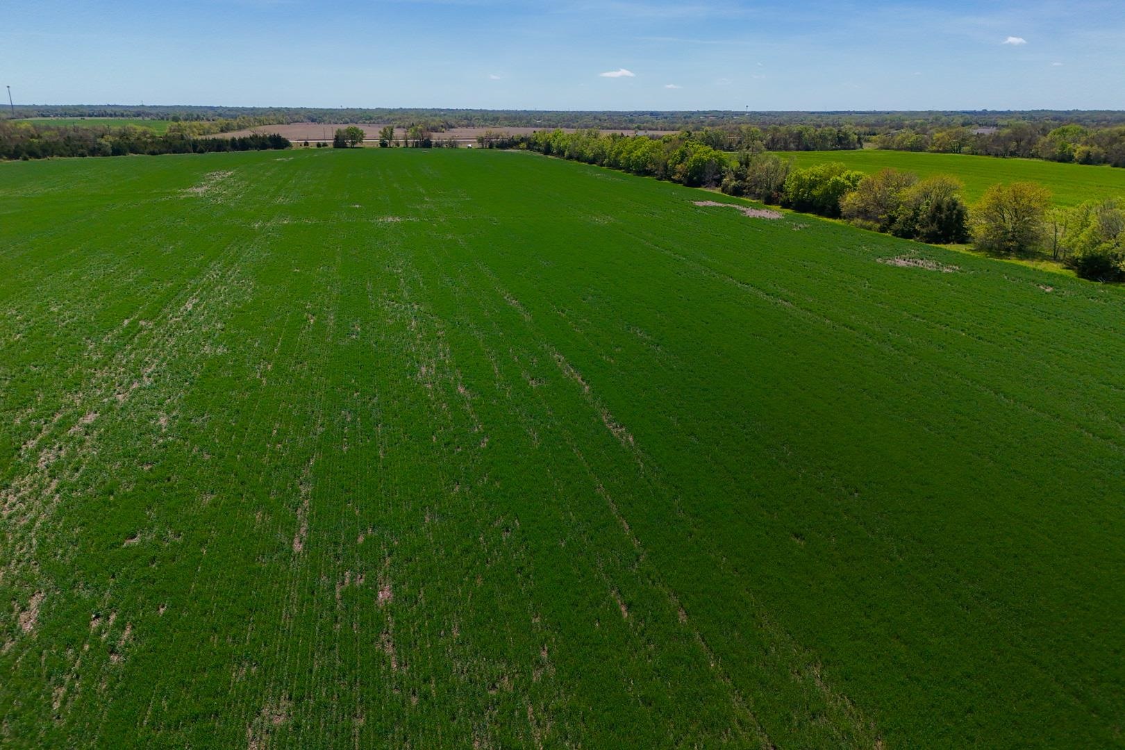 43.56+/- Acres SW Tawakoni Rd, Andover, Kansas image 17