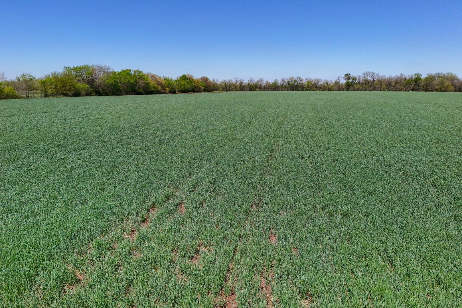 43.56+/- Acres SW Tawakoni Rd, Andover, Kansas image 10