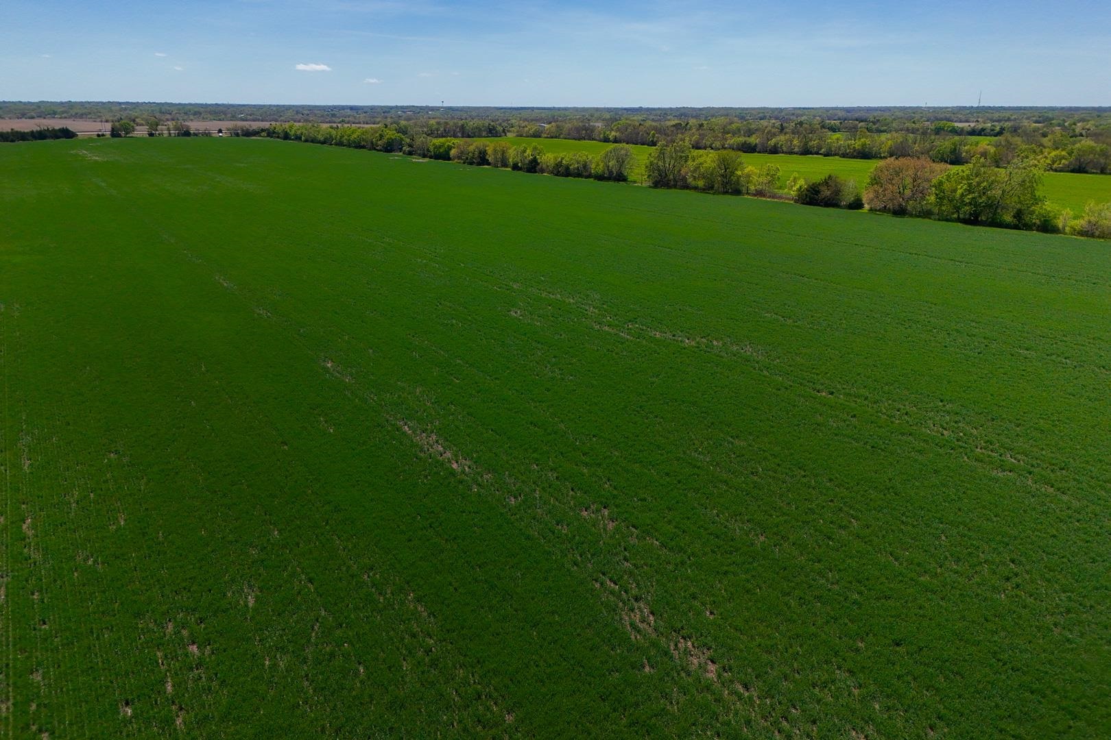 43.56+/- Acres SW Tawakoni Rd, Andover, Kansas image 16
