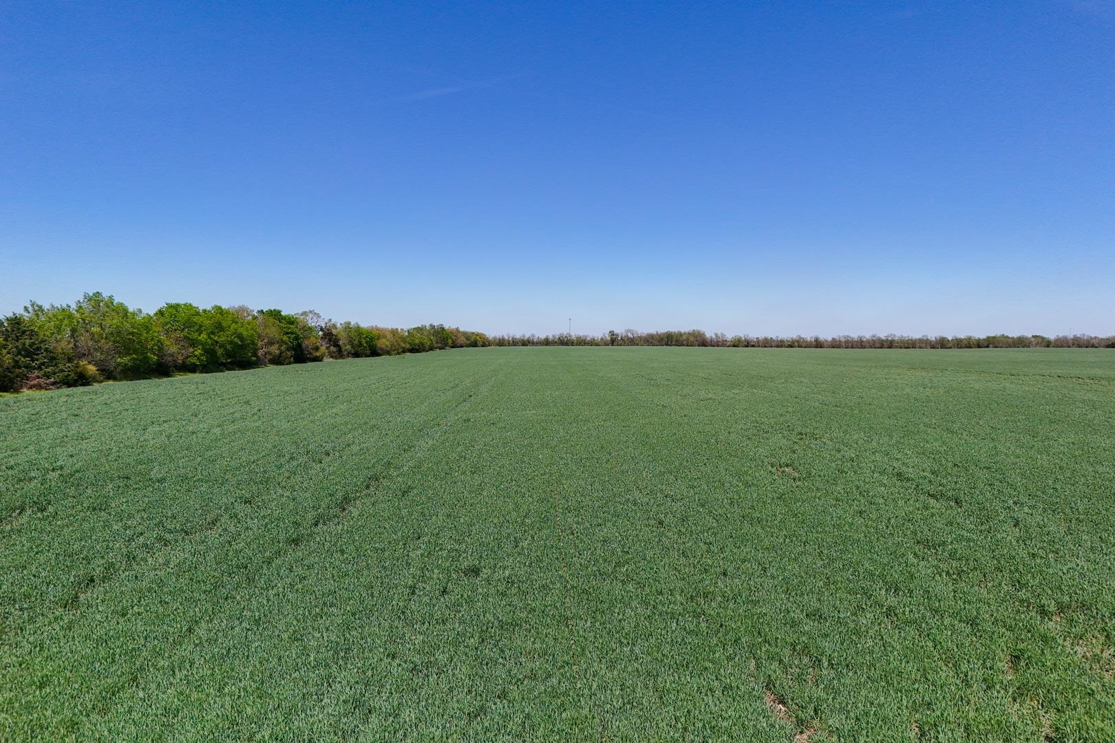 43.56+/- Acres SW Tawakoni Rd, Andover, Kansas image 21