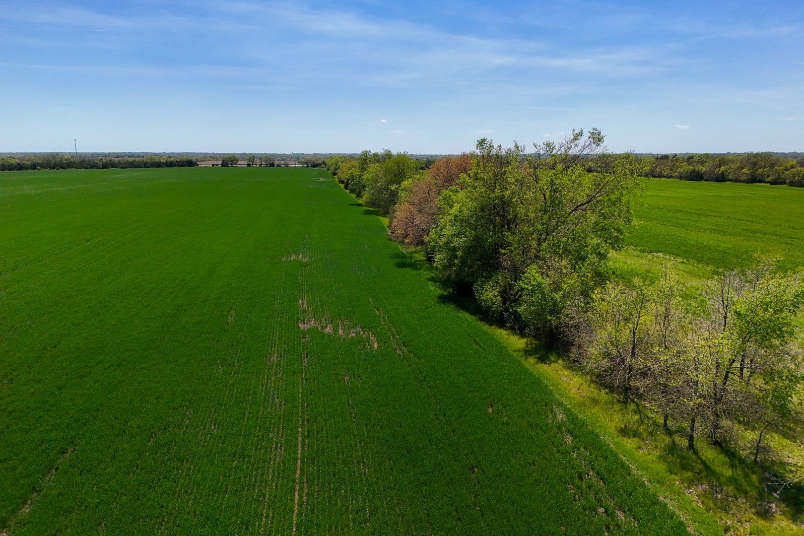43.56+/- Acres SW Tawakoni Rd, Andover, Kansas image 12
