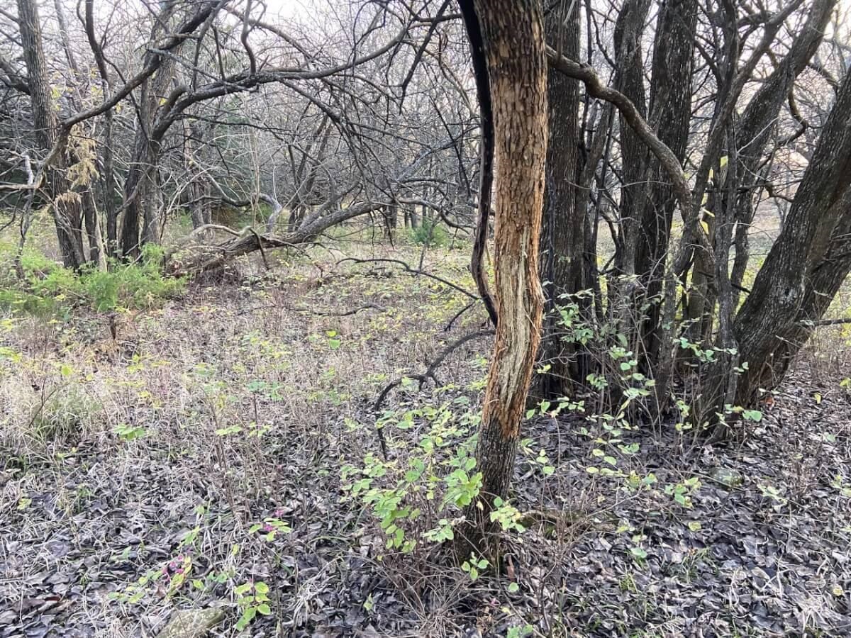 000 Zebulon Rd, Marion, Kansas image 9