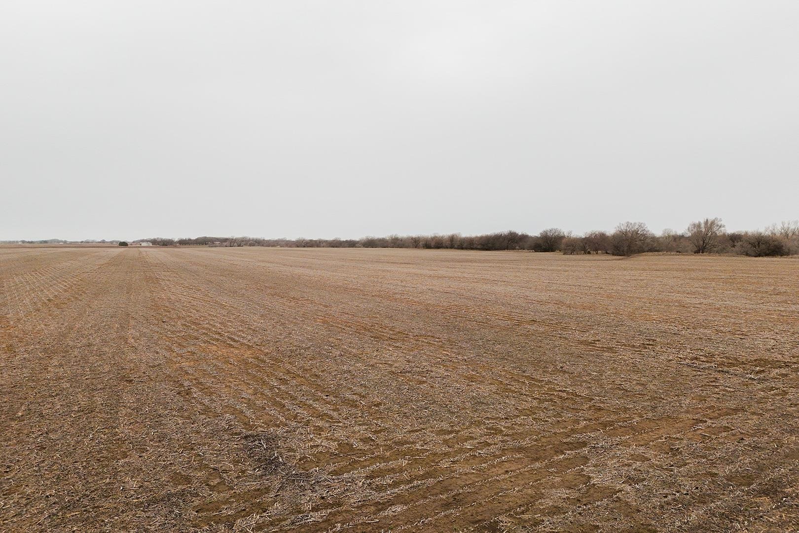 94.9+/- Acres K96, Mount Hope, Kansas image 4