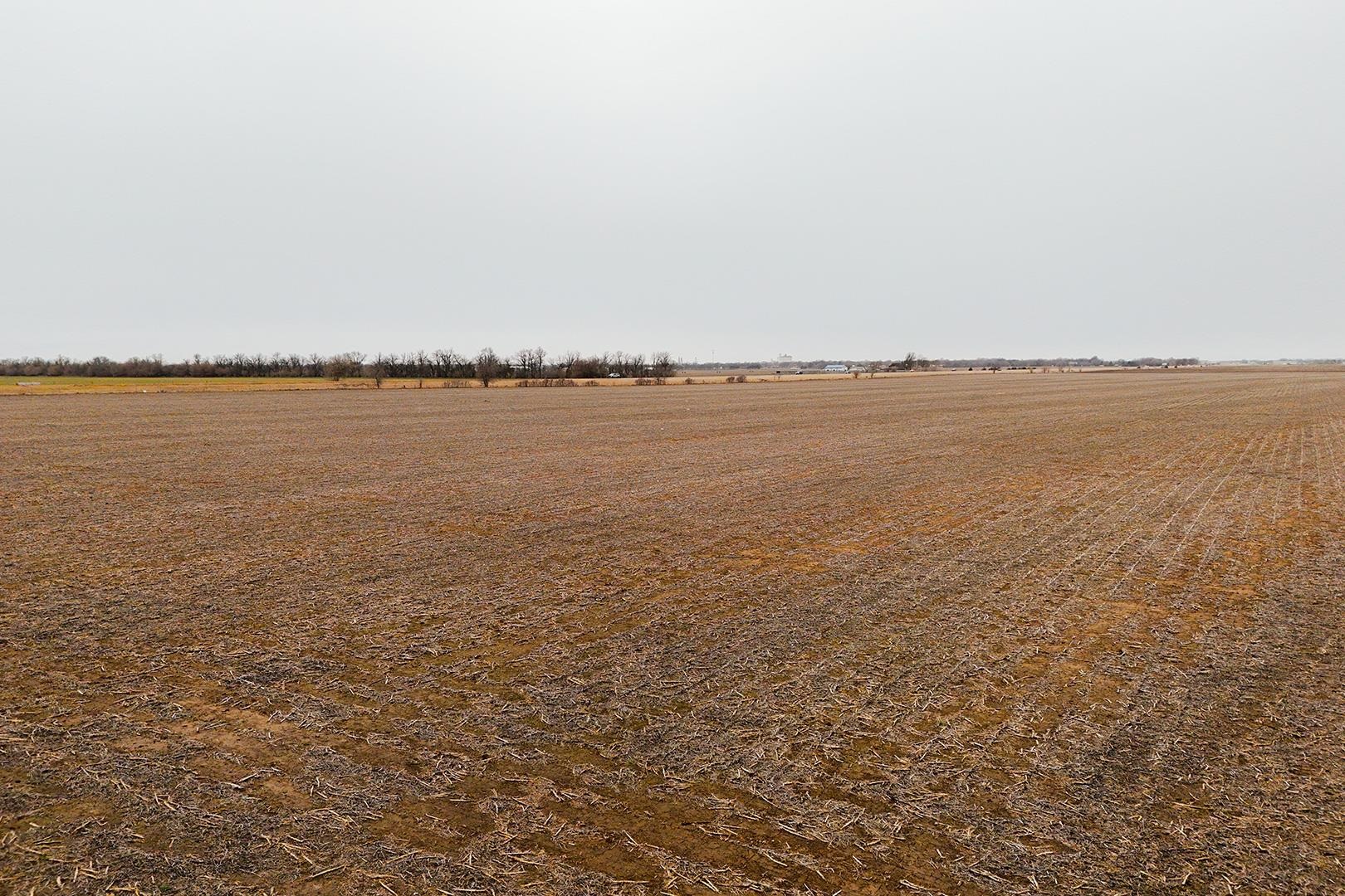 94.9+/- Acres K96, Mount Hope, Kansas image 5