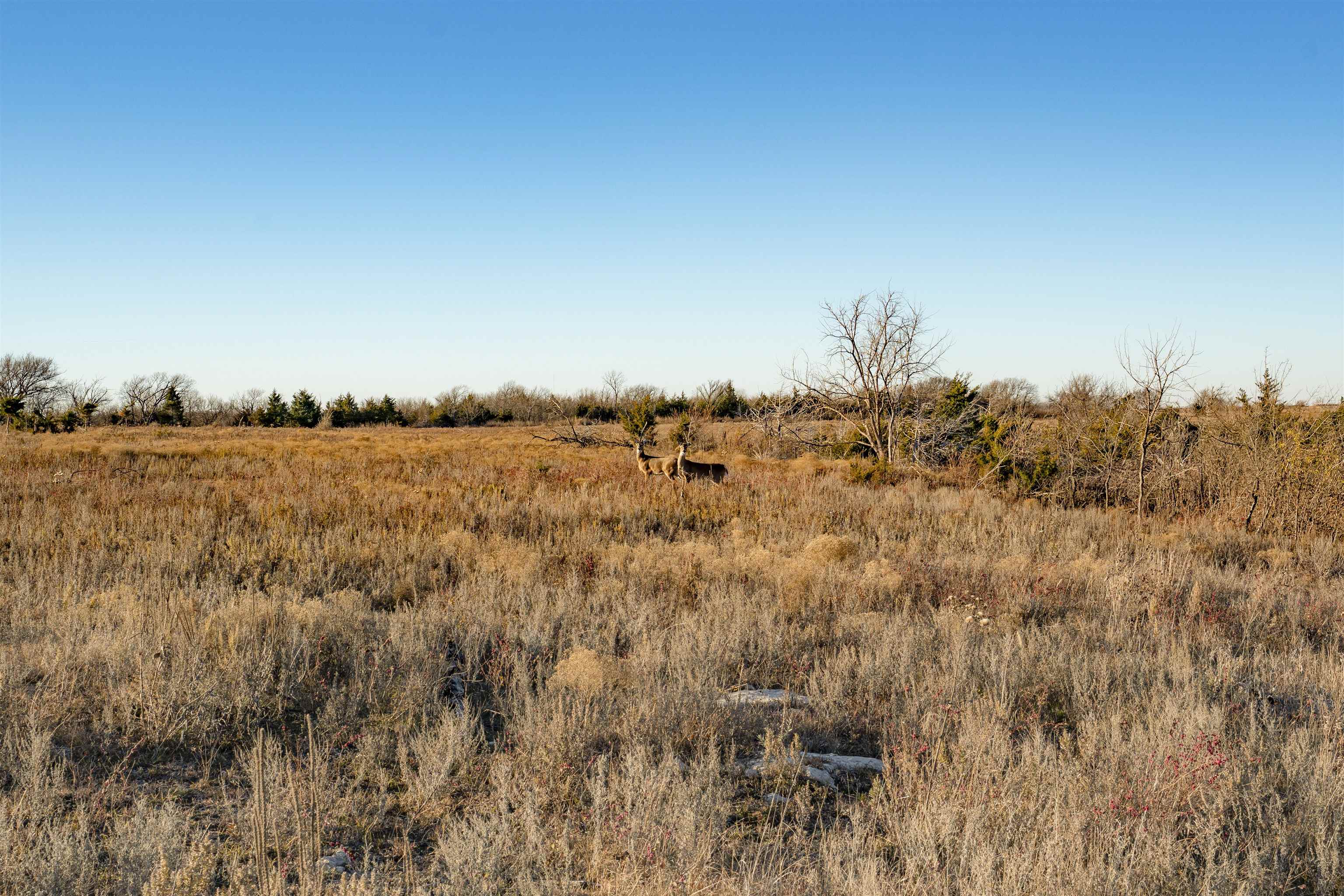 00000 242nd Rd, Arkansas City, Kansas image 29