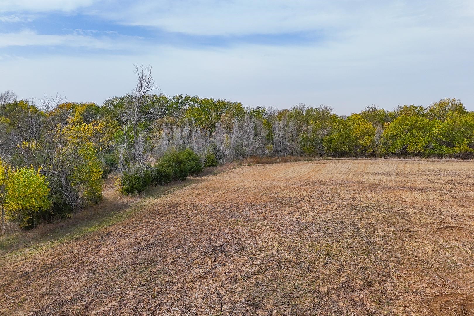 9.1+/- Acres On SW 220th #TRACT 4, Douglass, Kansas image 10