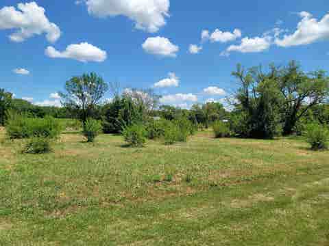 Vacant Land For Sale - 00000 Barker<br/> Marion County, Florence, KS 66851