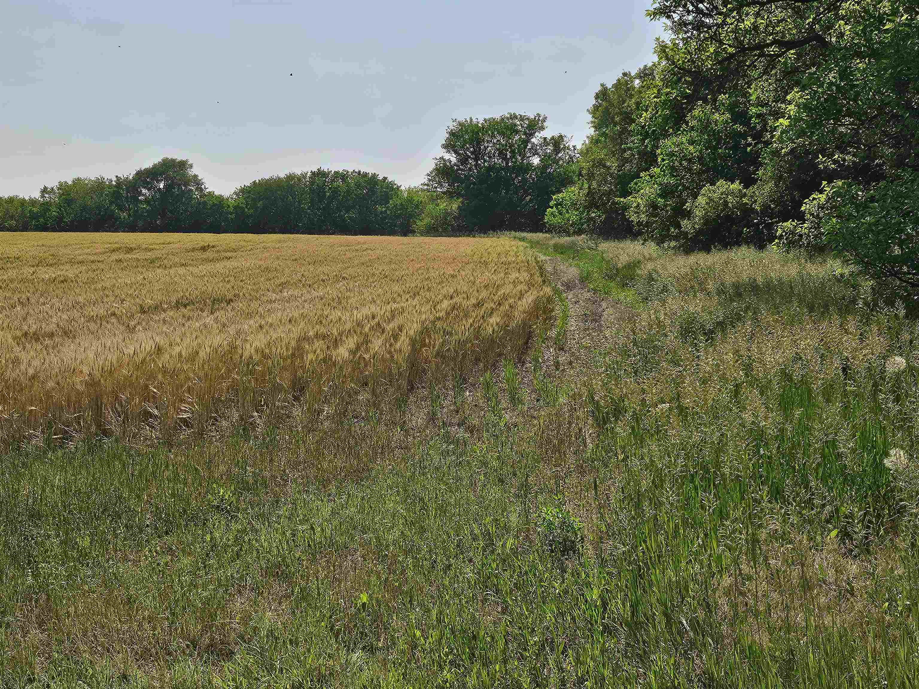 N Hwy 81 Bypass, McPherson, Kansas image 11