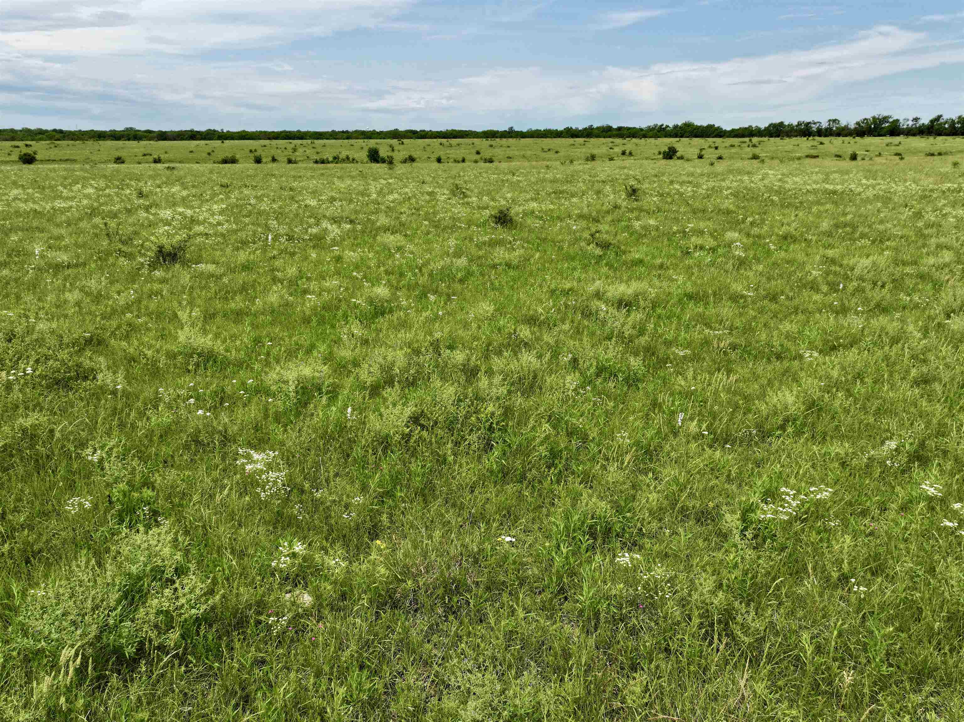 N Santa Fe Lake Rd #9.5 ACRES, Towanda, Kansas image 7