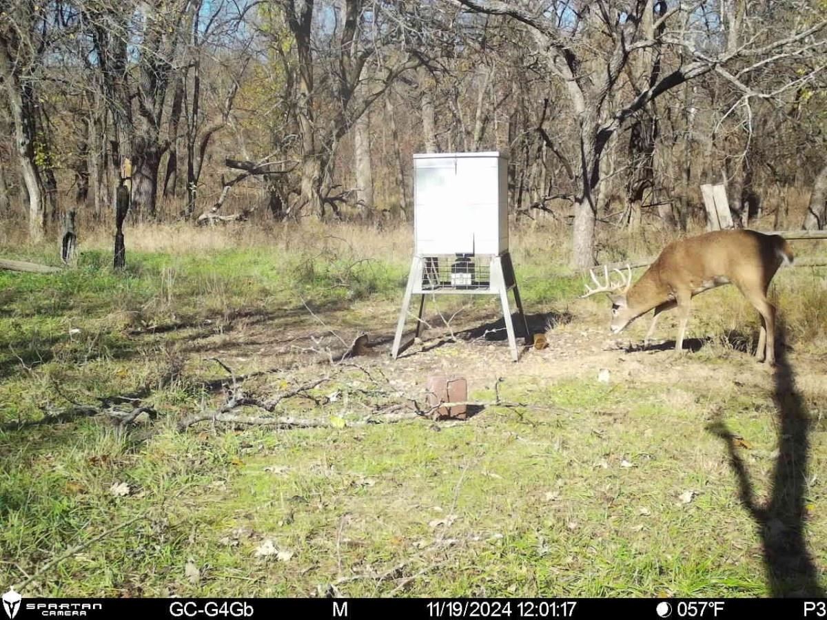 7393 SE 200th St, Latham, Kansas image 11