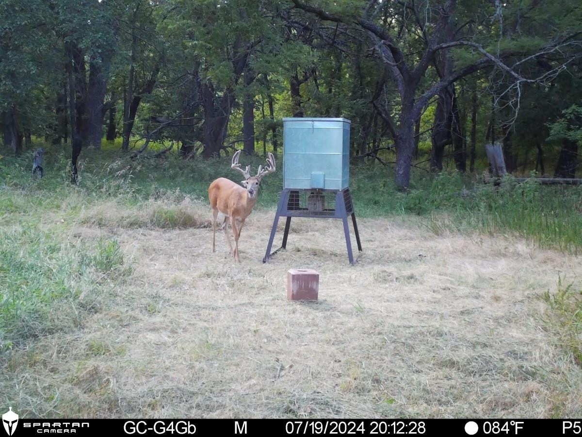 7393 SE 200th St, Latham, Kansas image 12