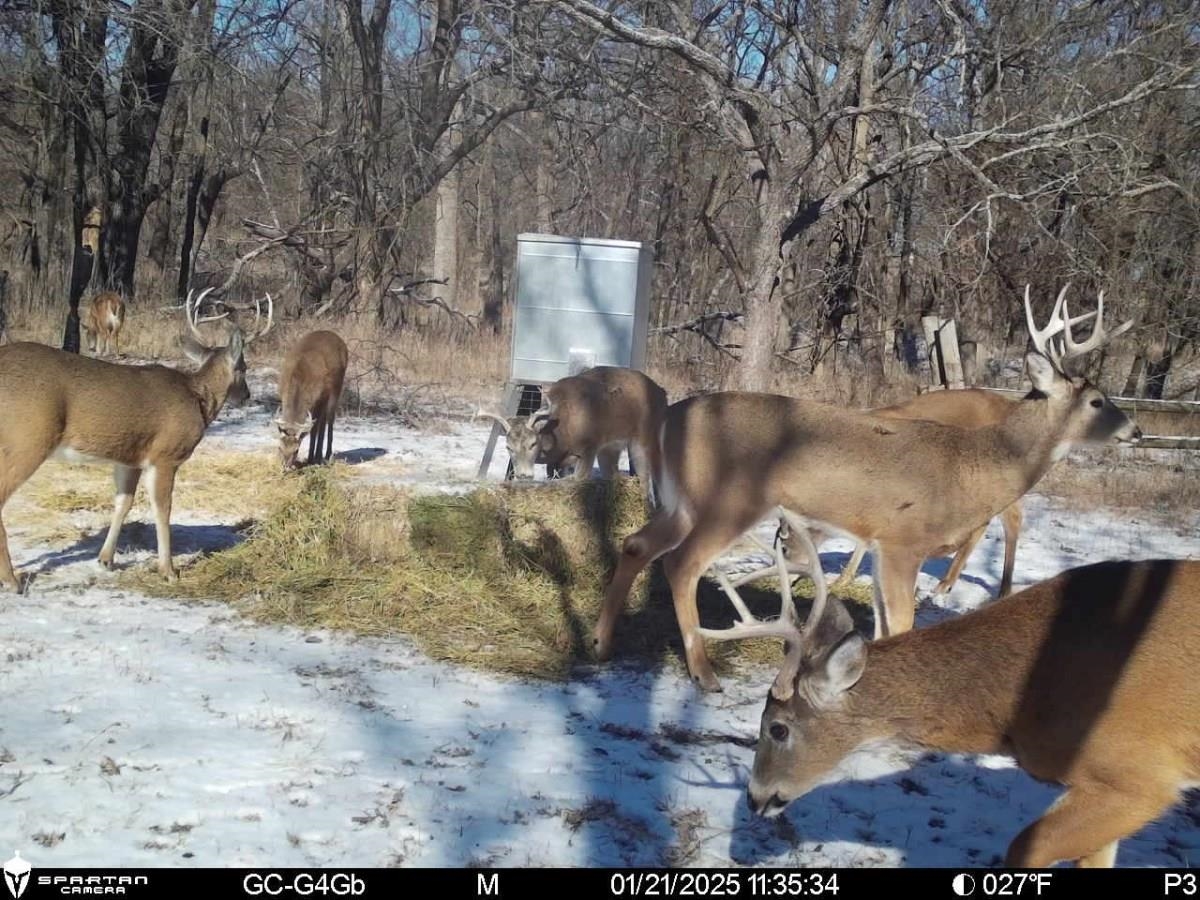 7393 SE 200th St, Latham, Kansas image 7