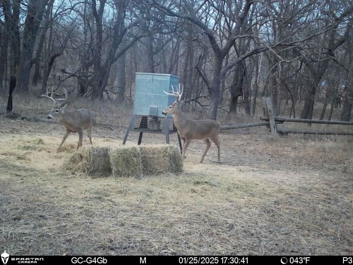 7393 SE 200th St, Latham, Kansas image 4