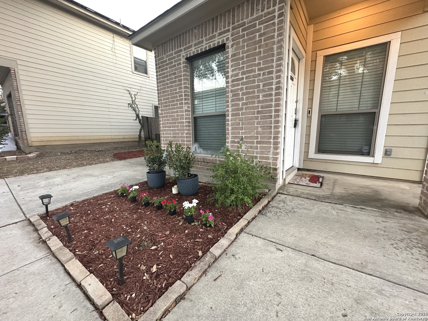 6118 Pecan Tree