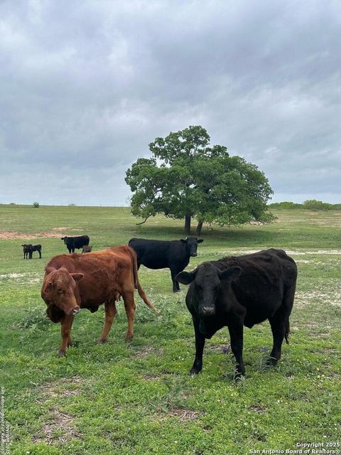 TBD (TRACT 2) W Gates Valley Poteet TX 78065