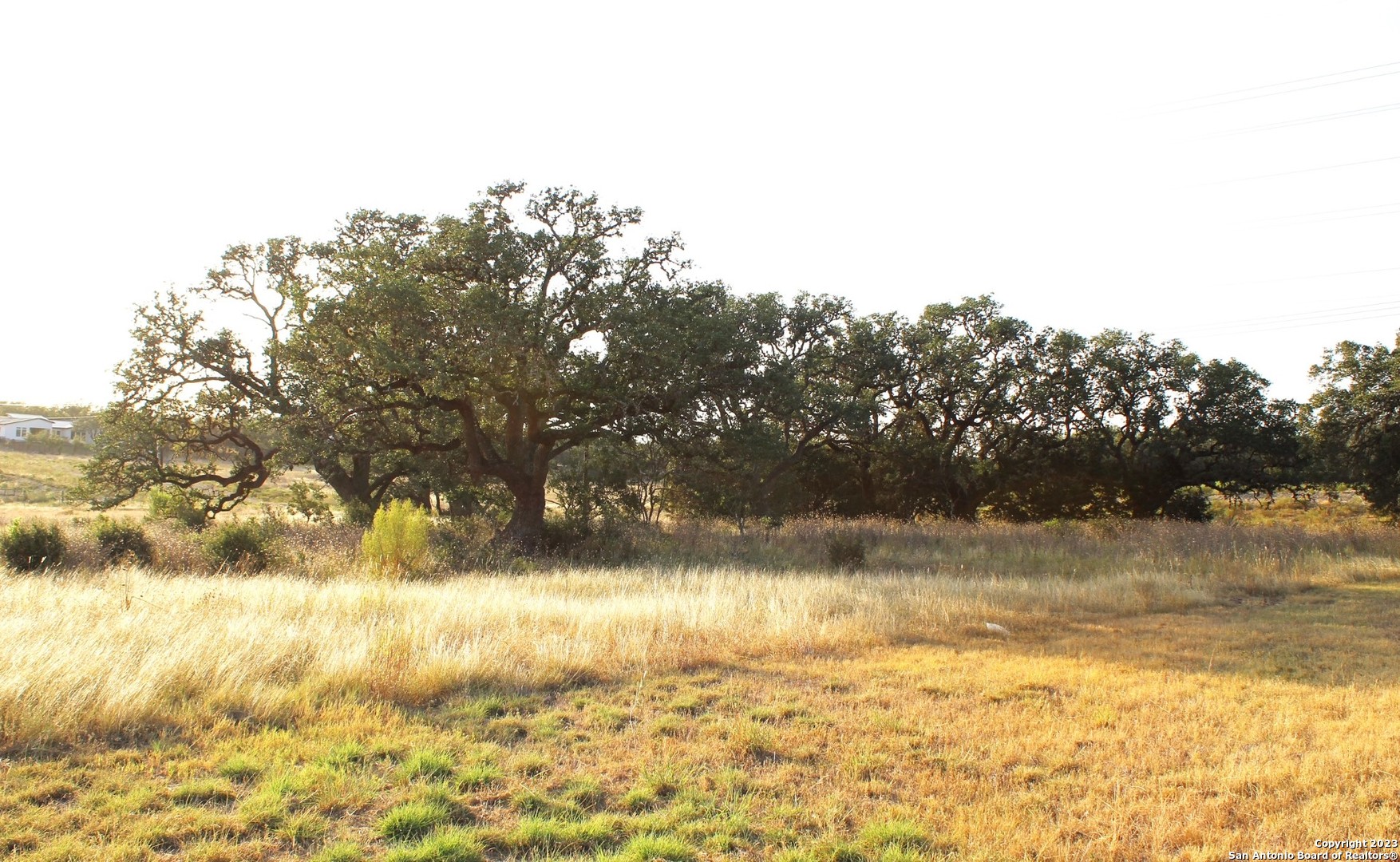 View Bulverde, TX 78163 land
