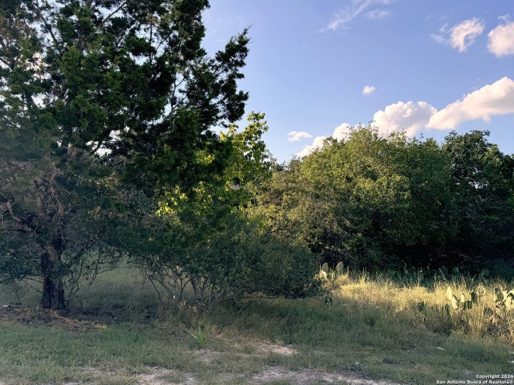 Photo 1 of 9 — LOT 10 Rocky Point Drive, Spring Branch, TX 78070