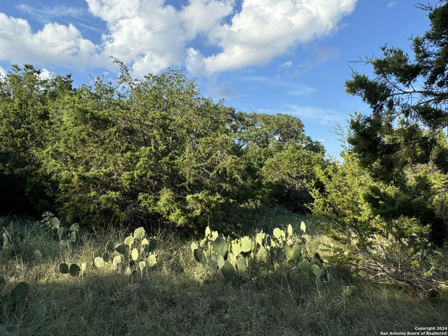 LOT 10 Rocky Point Drive