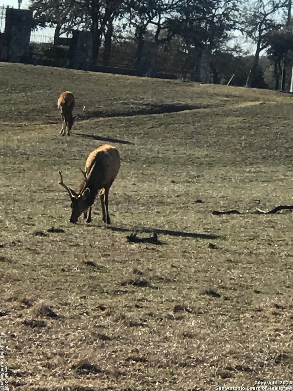 Photo of LOT 49 Elk Mountain Ranch, Pipe Creek, TX 78063 (MLS # 1958237)