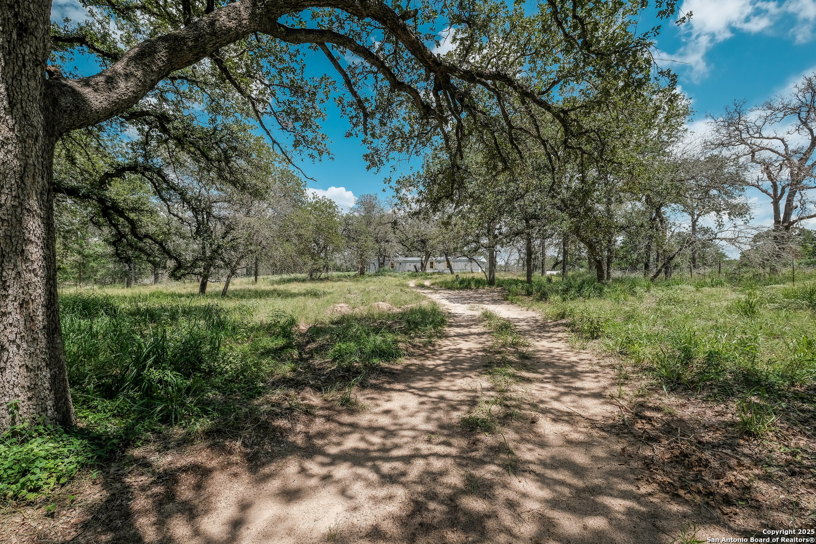 131 Flores Oaks