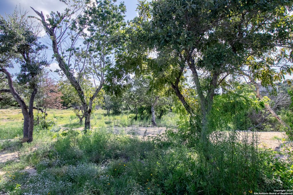 Photo of LOT 6 MESSINA CYN, San Antonio, TX 78255 (MLS # 1798853)