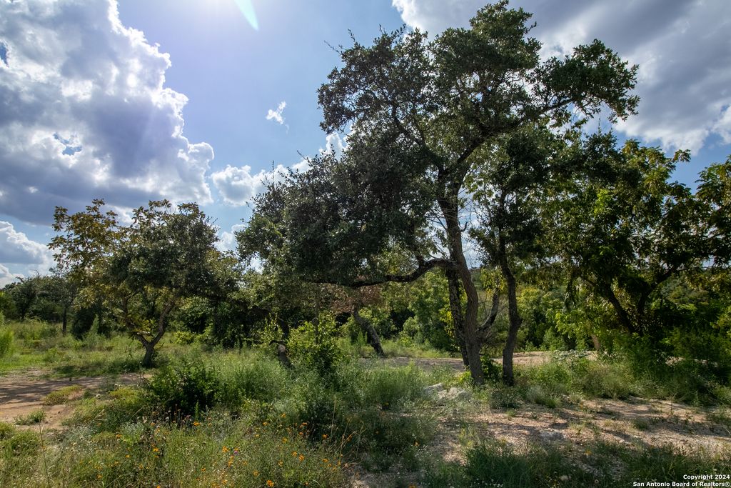 Photo of LOT 6 MESSINA CYN, San Antonio, TX 78255 (MLS # 1798853)