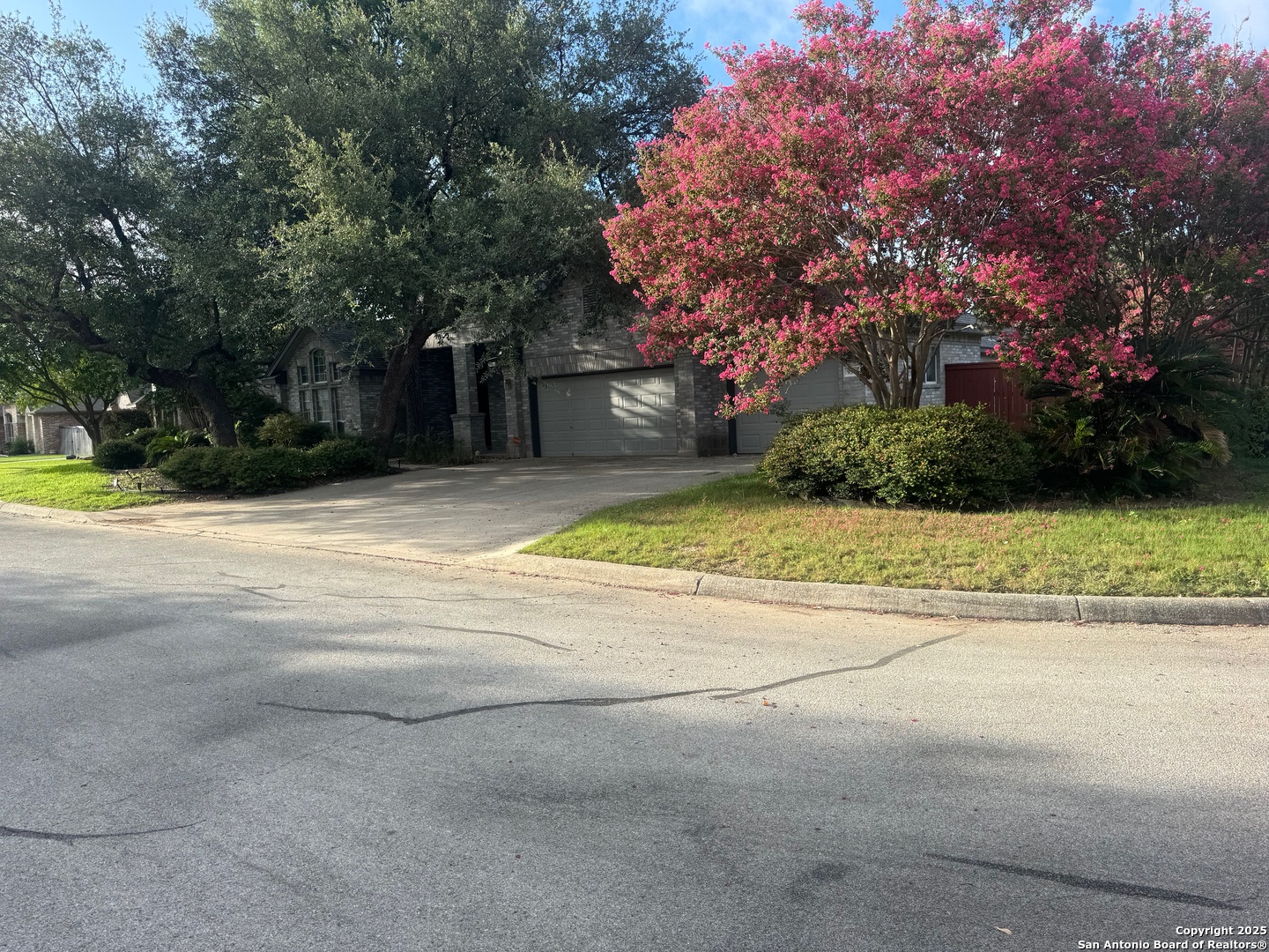 9510 French Tree