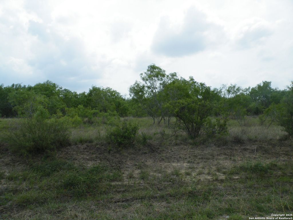 Photo of 618 County Road 154, Pleasanton, TX 78064 (MLS # 1876720)