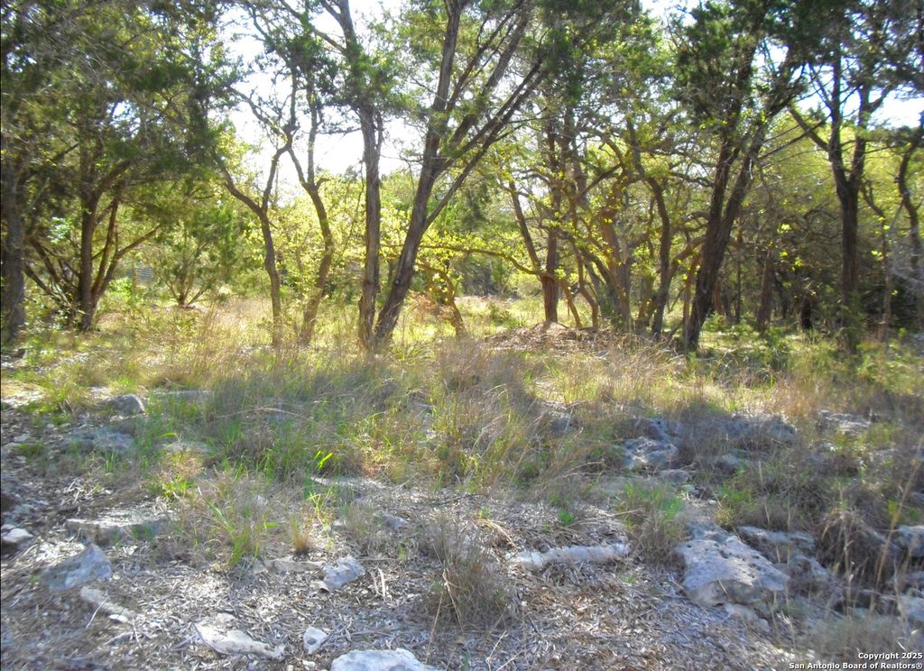 Photo of 2024 FM 3424, Canyon Lake, TX 78133 (MLS # 1926518)