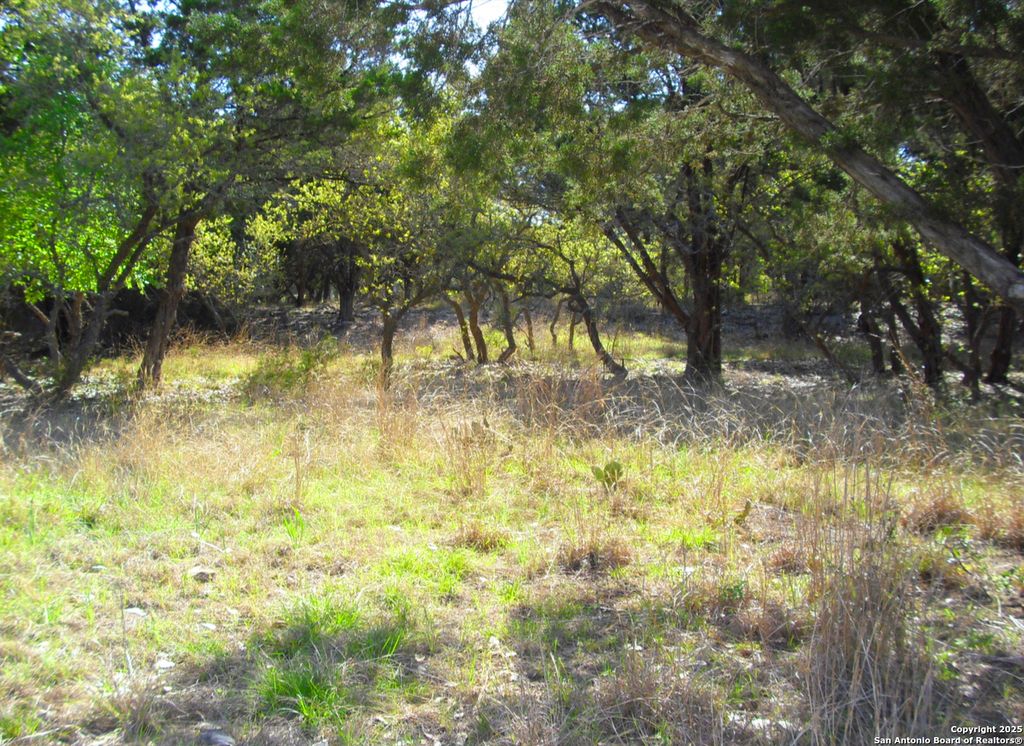 Photo of 2024 FM 3424, Canyon Lake, TX 78133 (MLS # 1926518)