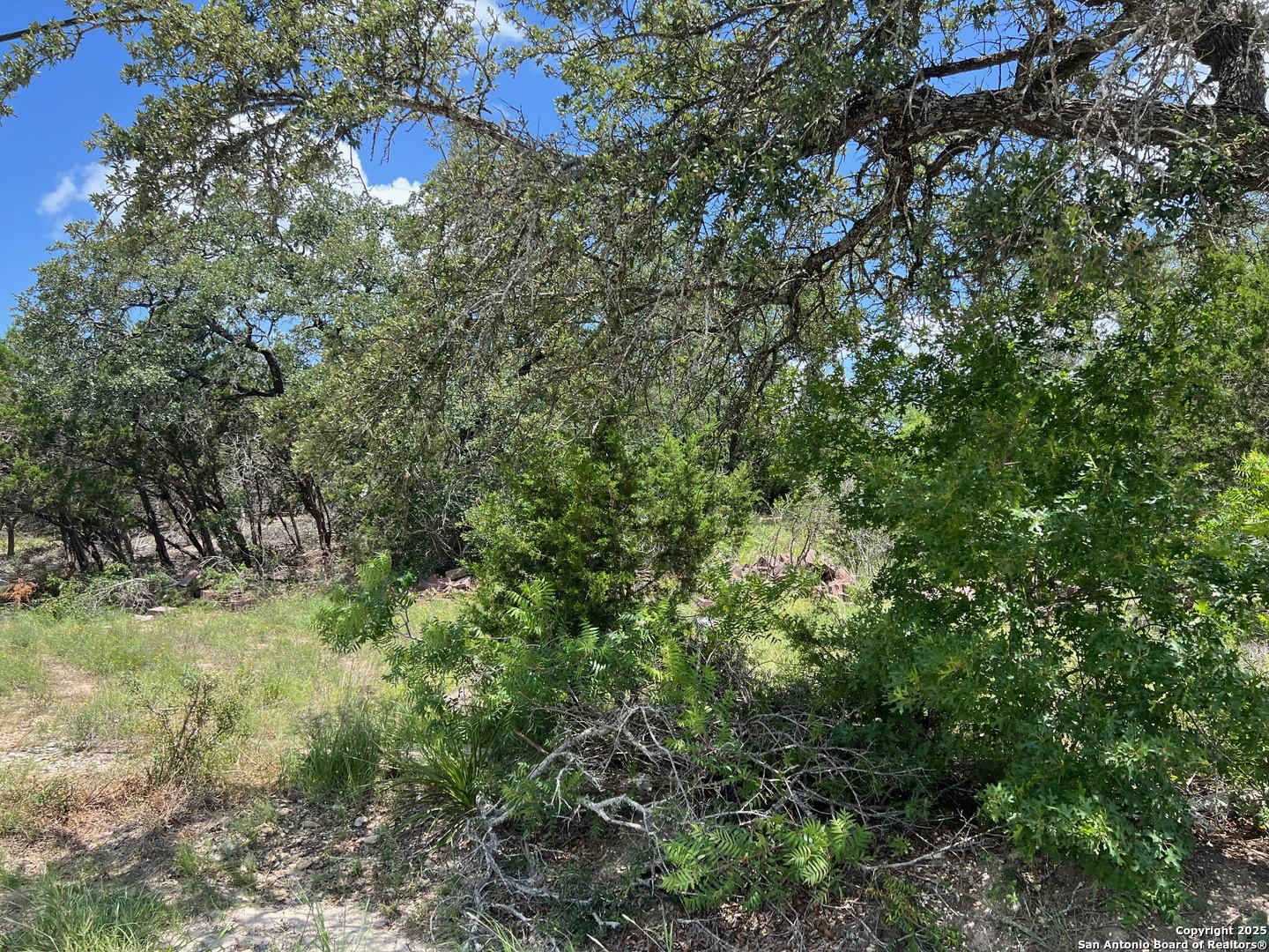 Spring Branch, Texas 78070, United States, ,Land,Active,155690