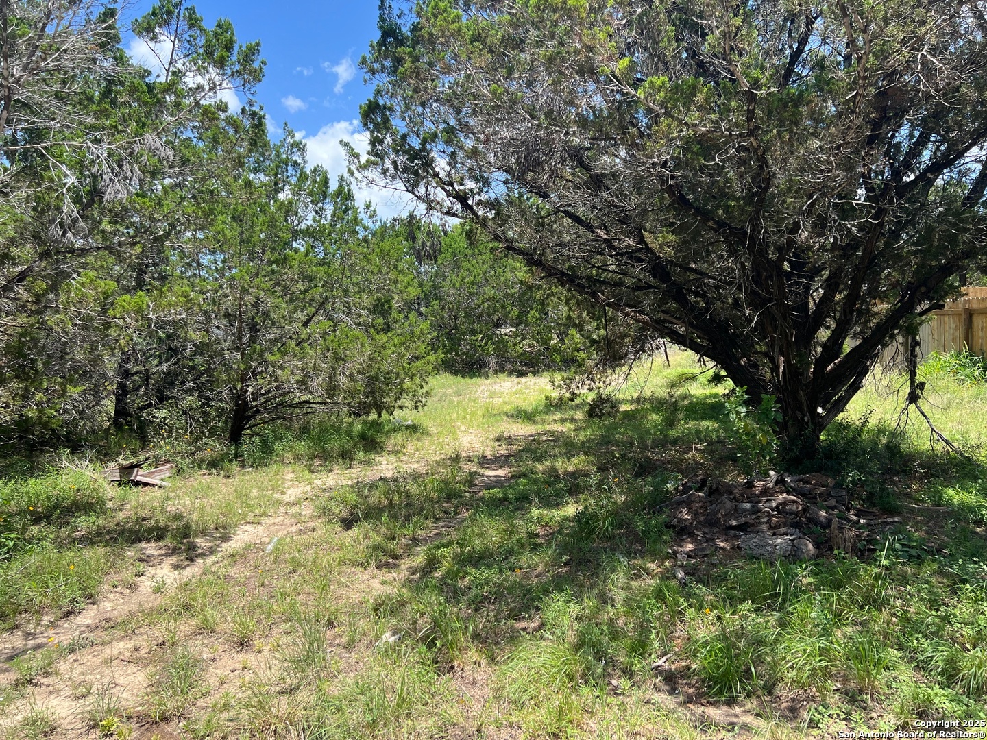 Spring Branch, Texas 78070, United States, ,Land,Active,155690