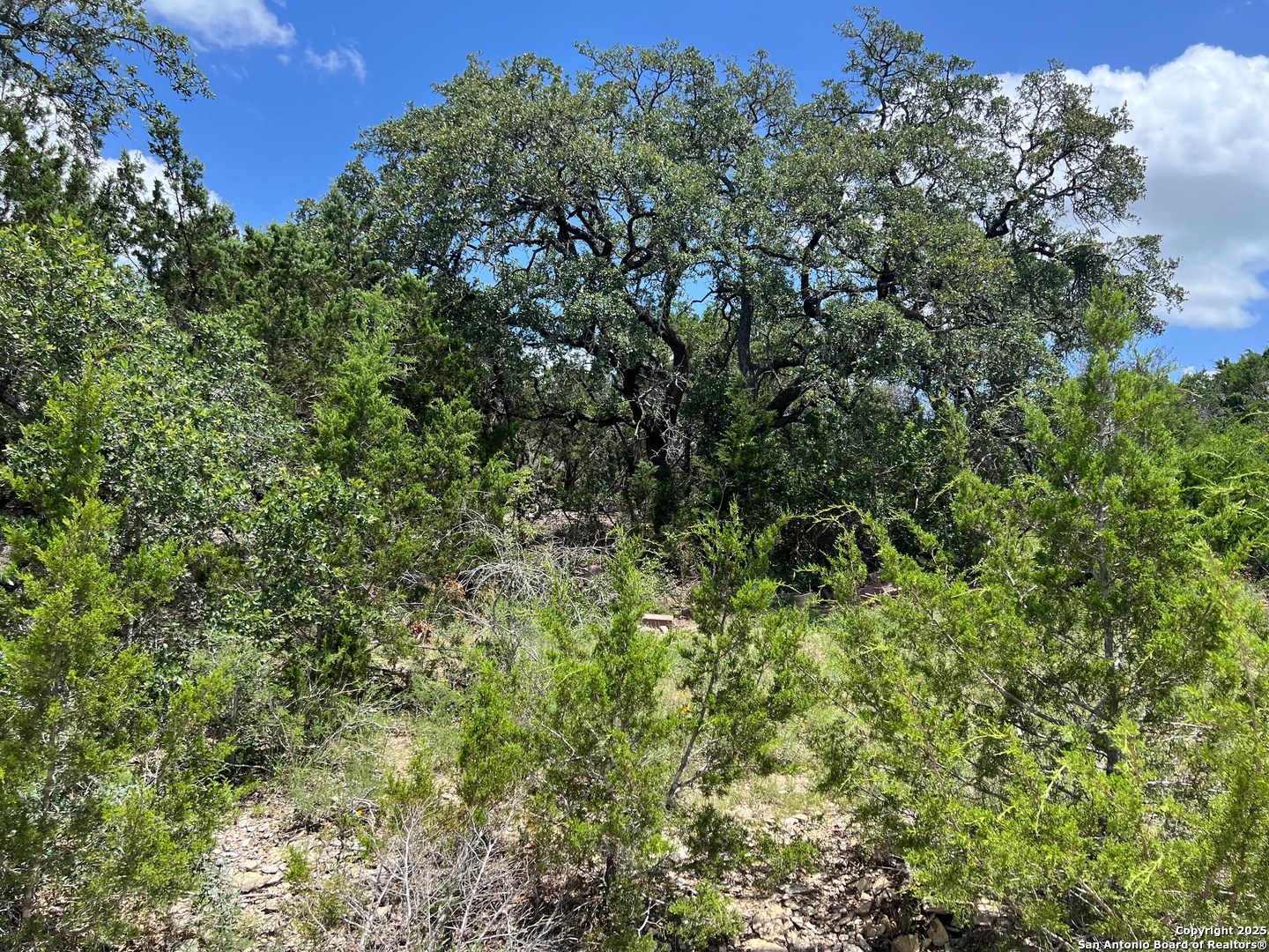 Spring Branch, Texas 78070, United States, ,Land,Active,155690