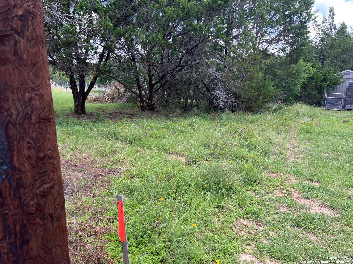 Spring Branch, Texas 78070, United States, ,Land,Active,155690