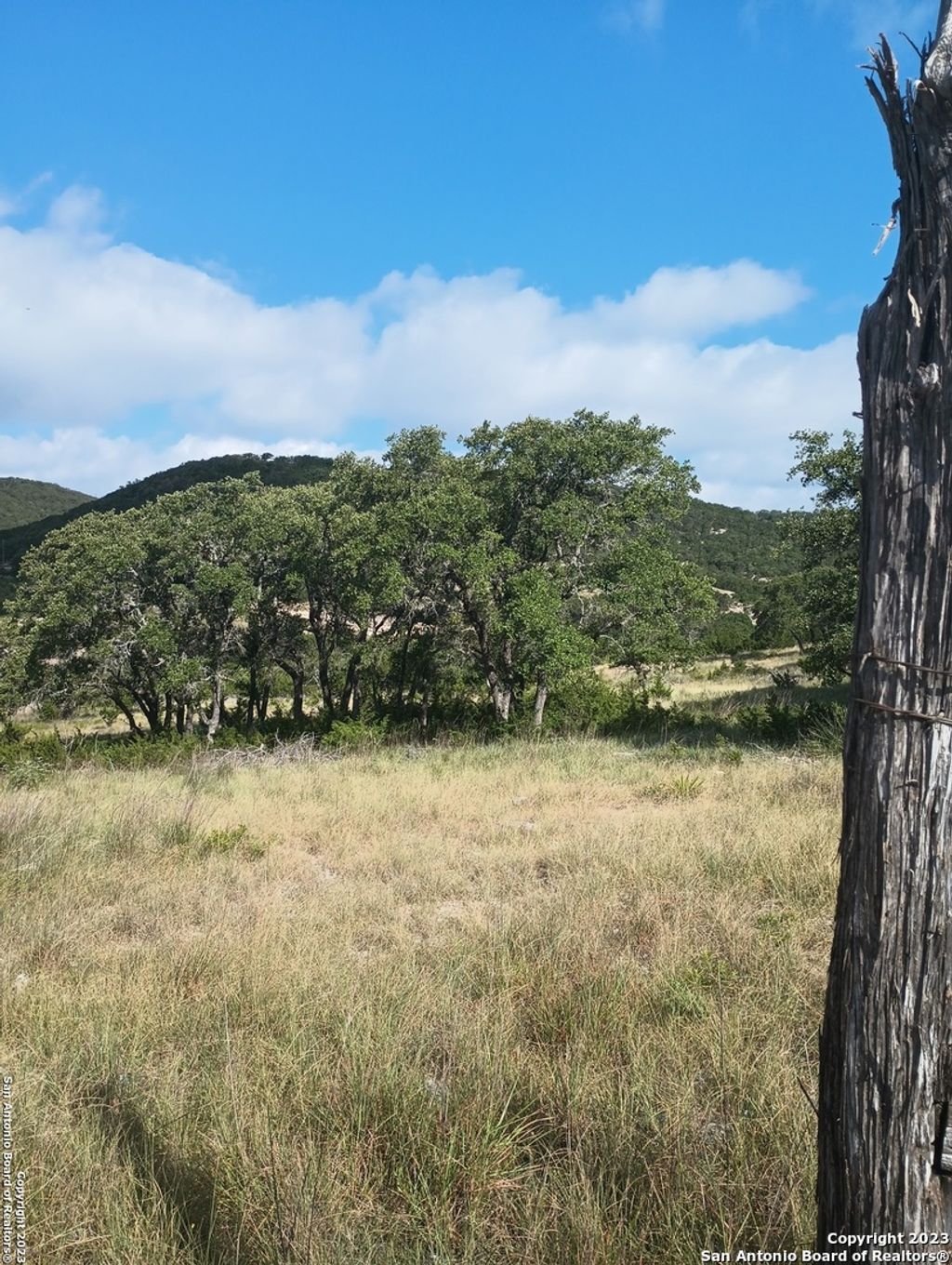 Photo of 761 W Bear Springs Rd, Pipe Creek, TX 78063 (MLS # 1699944)