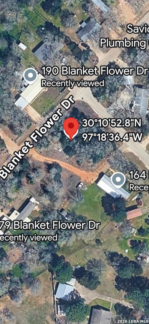 R40054 Blanket Flower Dr