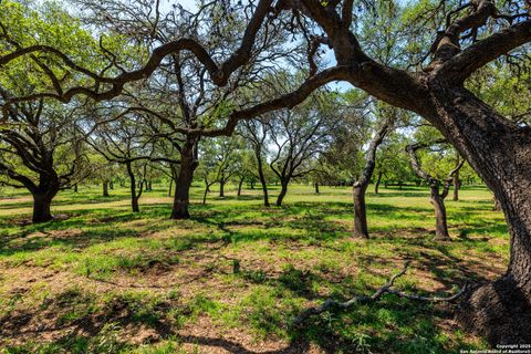 1114 Meadowlark Driv Fredericksburg TX 78624