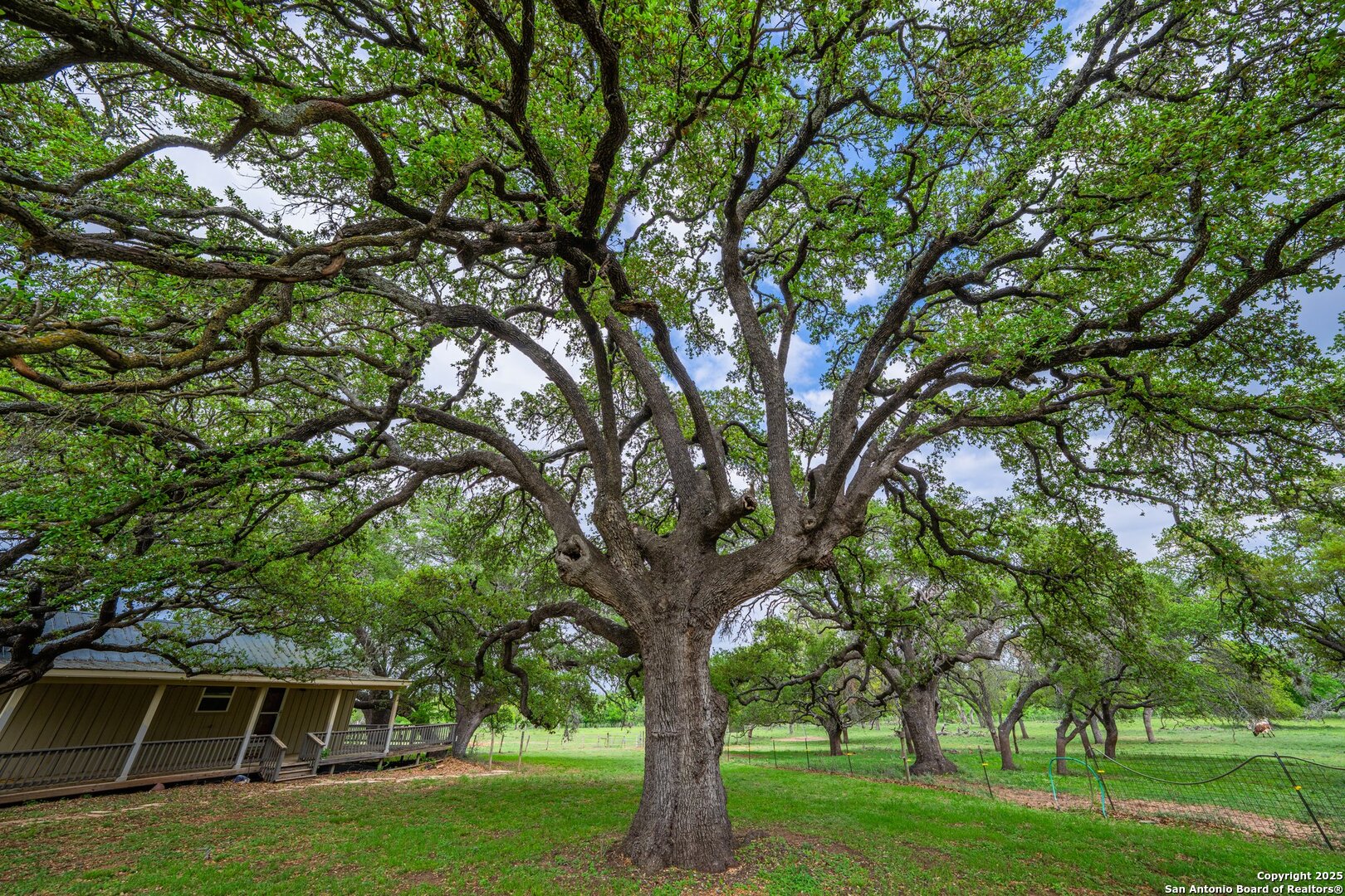 1114 Meadowlark Driv