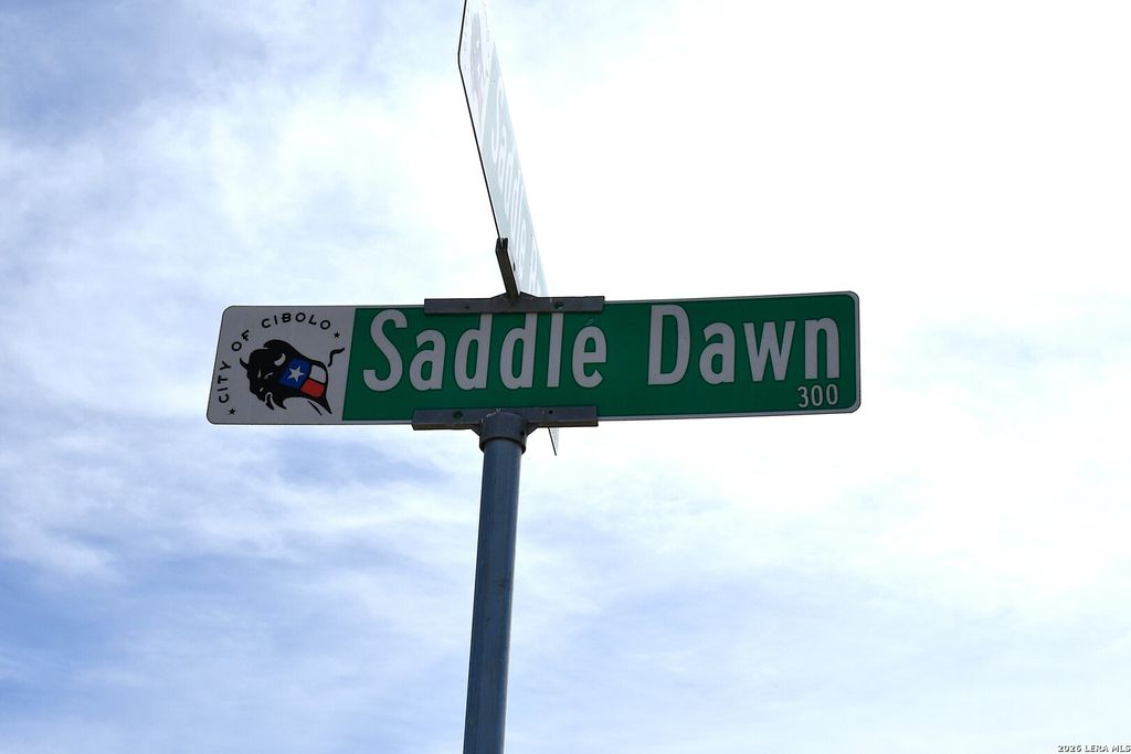 Photo of 300 Saddle Dawn, Cibolo, TX 78108 (MLS # 1944577)