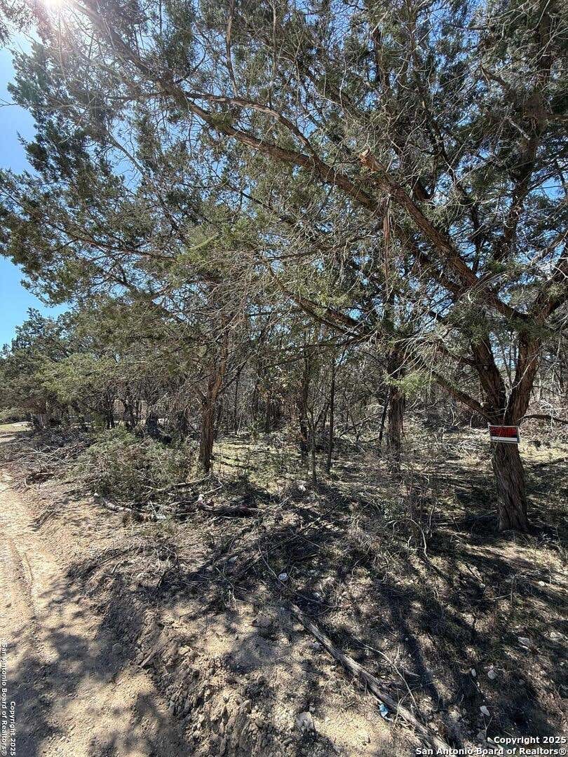 Photo of TBD Paladin, Bandera, TX 78003 (MLS # 1848928)