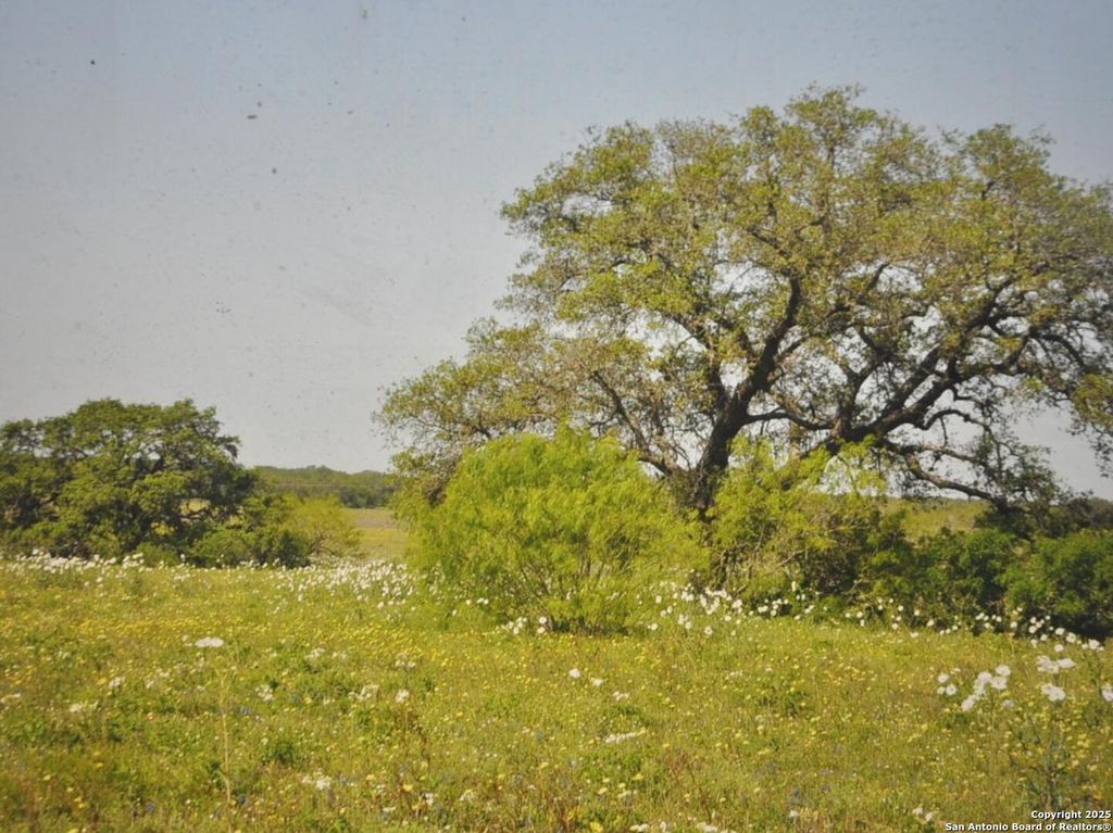 Photo of TBD CR 2615, Devine, TX 78016 (MLS # 1836074)