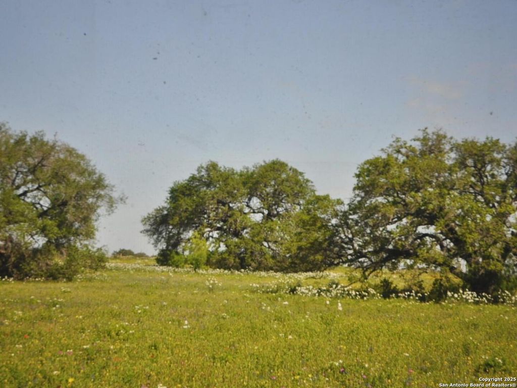 Photo of TBD CR 2615, Devine, TX 78016 (MLS # 1836074)